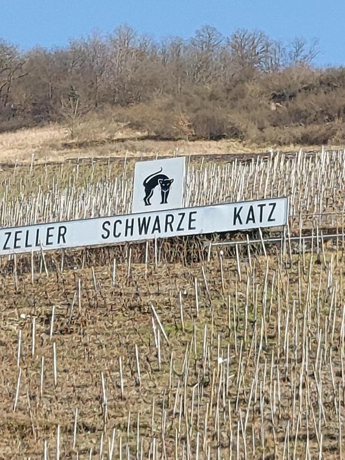 Fewo Siemens Mosel Zell an der Mosel Exterior photo